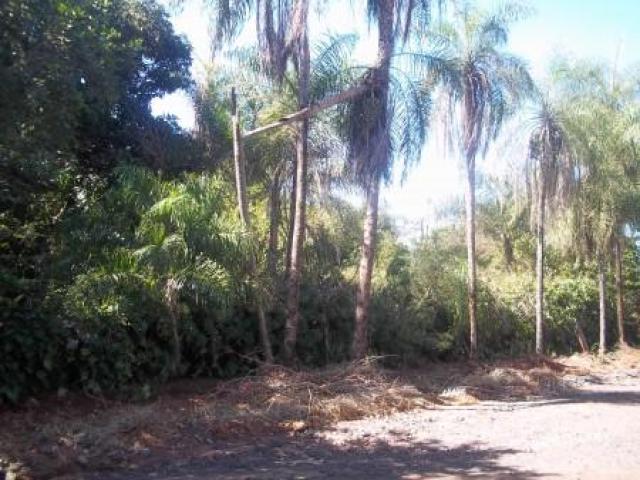 Terreno para Venda em Campo Grande - 3