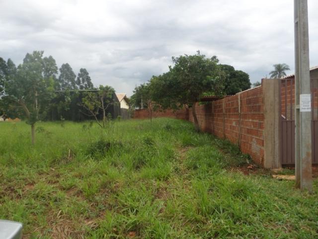 Terreno para Venda em Campo Grande - 3