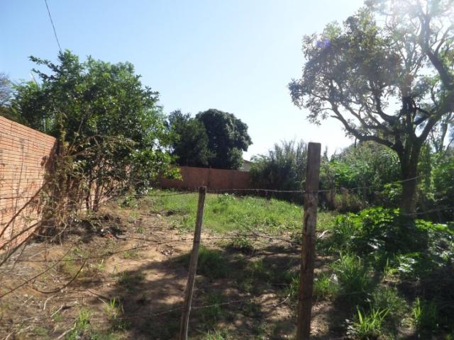 Terreno para Venda em Campo Grande - 4