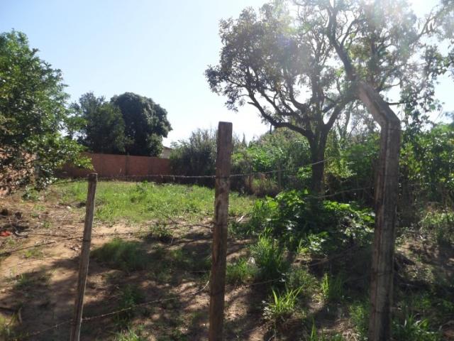 Terreno para Venda em Campo Grande - 1